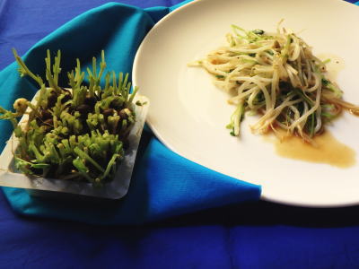 134.豆苗ともやしのオイスター炒め