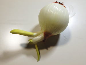 240.クリーミーな味わい　ポテトサラダ