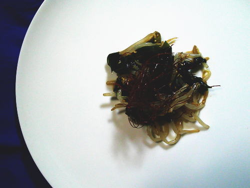 271.ピリ辛もやしとわかめの豆板醤和え