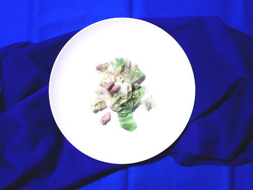 310.キャベツとツナのレモン塩炒め