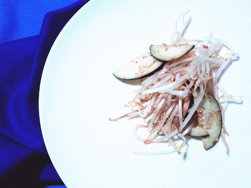 386.さっと簡単もやしとなすのナムル