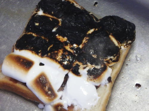 397.�{�����Ӂ��}�V���}������g�[�X�g�B����