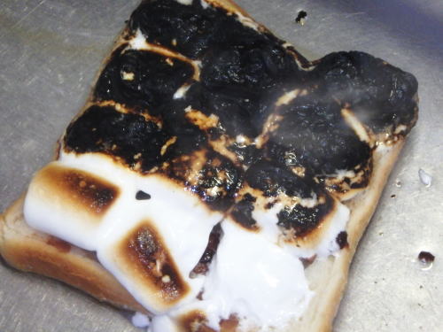 397.�{�����Ӂ��}�V���}������g�[�X�g�B����