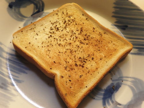 007.�o�W���g�[�X�g