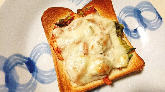 �A�{�K�h�E�L���`�[�Y�g�[�X�g