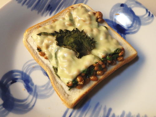 ��t�[���g�[�X�g�B�`�[�Y