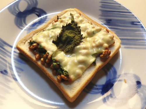 ��t�[���g�[�X�g�B�`�[�Y