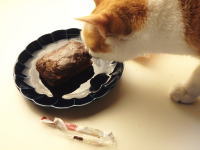 46.ローソン ザクザクチョコドーナツ カスタード