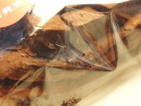 50.�Z�u���@�����ǂ��V���R���f�j�b�V��