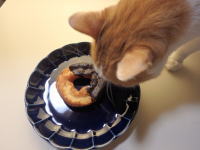 54.ローソン オールドファッションドーナツ