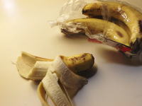 73.Oisis�@��l���ґ�R�b�y�@�K�i�b�V���`���R