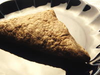 95.�Z�u���@�x���M�[�`���R�p�C