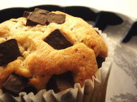 113.�Z�u���@�Z���`���R�}�t�B��