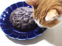 128.���}�U�L�@�K���`���R�u���b�N