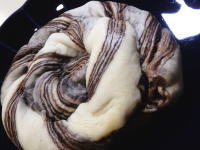 129.Oisis�@�����������`���R