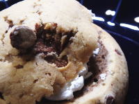 147.���}�U�L�@�J���g���[�}�A���p��