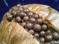 182.GODIVA �p�[���V���R��