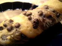 191.�Z�u���@�`���R�_