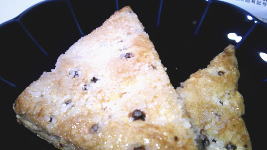 204.�Z�u���@�`���R�`�b�v�p�C