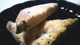 204.�Z�u���@�`���R�`�b�v�p�C