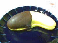 221.�Z�u���@�����`���R�o�i�i���[���@2003�N