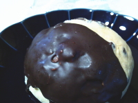 234.���[�\���@�`���R�`�b�v�������p��