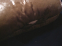 237.GODIVA �V���R���R�b�y