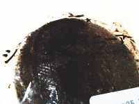 249.ローソン ショコラクイニーアマン