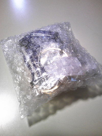 １４）おとりよせしてみた。