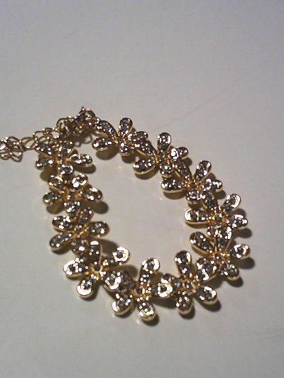 １４）おとりよせしてみた。