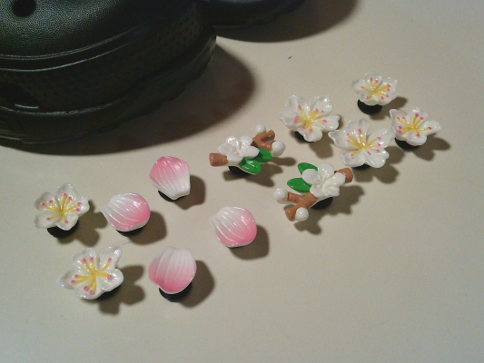 ３０）クロックスが欲しくても買えない人に