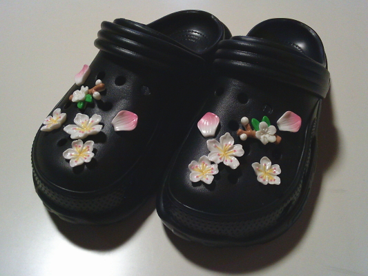 ３０）クロックスが欲しくても買えない人に