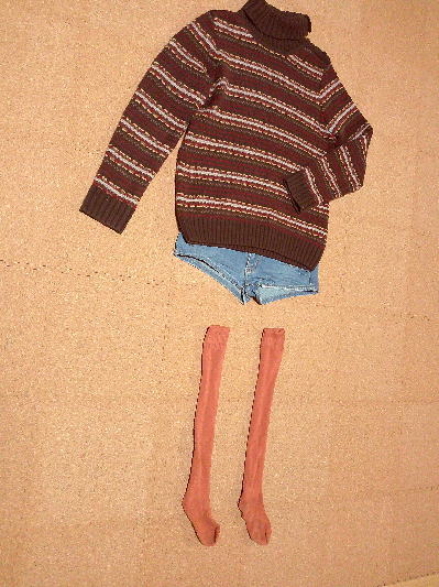 108)470円茶のタートルセーター