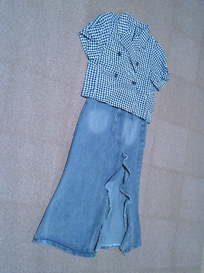 114）550円ギンガムチェックジャケット