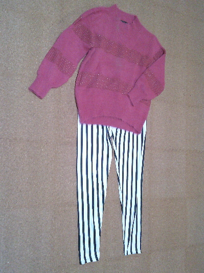 116)818円ストライプのレギンス