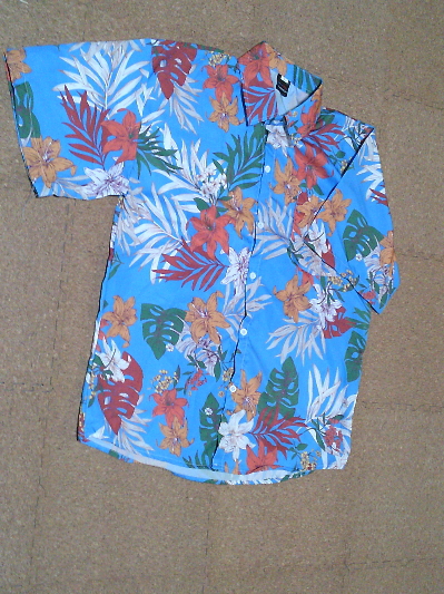 167)634円ゆりのアロハ2