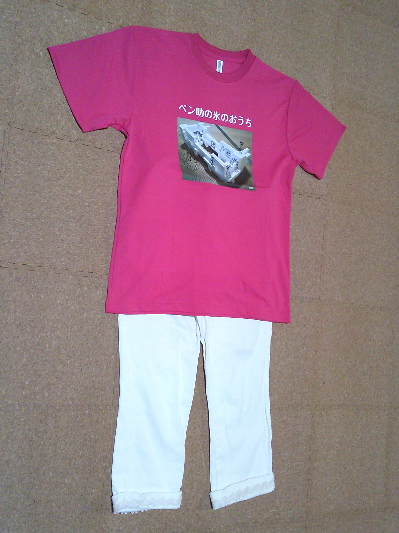 174)3,500円(確か)のプリントTシャツ